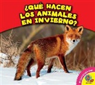Rebecca Felix - Que Hacen Los Animales En Invierno?
