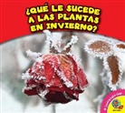 Rebecca Felix - Que Le Sucede a Las Plantas En Invierno?