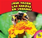 Rebecca Felix - Que Hacen Las Abejas En Verano?