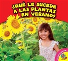 Rebecca Felix - Que Le Sucede a Las Plantas En Verano?