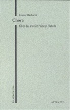 Damir Barbaric - Chora