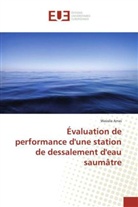 Wassila Arras, Arras-w - Evaluation de performance d une
