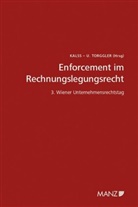 Susanne Kalss, Ulrich Torggler - Enforcement im Rechnungslegungsrecht 3. Unternehmensrechtstag