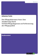 Johannes Fuchs - Das Pflegephänomen Sturz. Eine Annäherung durch NANDA-Pflegediagnosen zur Verbesserung der Pflegequalität