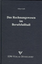 Albert Galli - Das Rechnungswesen im Berufsfußball