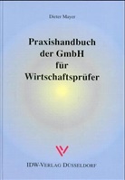 Dieter Mayer - Praxishandbuch der GmbH für Wirtschaftsprüfer