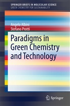Angel Albini, Angelo Albini, Stefano Protti - Paradigms in Green Chemistry and Technology