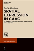 Aurélie Cauchard - Spatial Expression in Caac