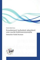 Arous-f, Fatima Madi Arous - Ecoulement turbulent abordant une