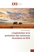 Tchakossa-b, Benoî Tchakossa, Benoît Tchakossa - L exploitation et la protection