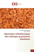 Salah Eddin Bendimerad, Salah Eddine Bendimerad, Amar Tilmatine - Séparation triboélectrique des mélanges granulaires plastiques