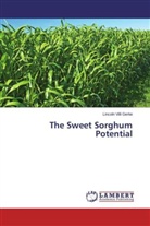 Lincoln Villi Gerke - The Sweet Sorghum Potential
