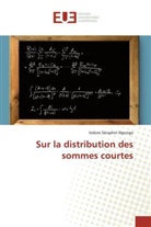 Isidore Séraphin Ngongo, Ngongo-i - Sur la distribution des sommes