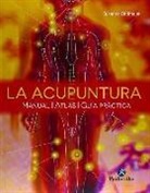 Susanne Bihlmaier - LA ACUPUNTURA
