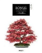 José Manuel Blázquez Delgado, Carlos Lázaro Díez - Bonsái : arte y naturaleza