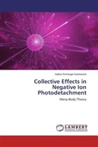 Galina Schrange-Kashenock - Collective Effects in Negative Ion Photodetachment