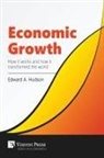 Edward A. Hudson - Economic Growth