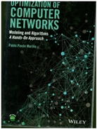 Pablo P. Marino, Pablo Pavon Marino, Pablo Pavón Mariño, Pablo Pav N. Mari O., Pablo Pav?n Mari?o, Pablo Pavã3n Mariño... - Optimization of Computer Networks