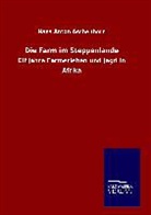Hans Anton Aschenborn - Die Farm im Steppenlande