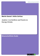 Attila Czirfusz, Marti Gansel, Martin Gansel - Analyse von Koffein und Taurin in Energy-Drinks