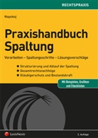 Elke Napokoj - Praxishandbuch Spaltung