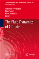Klaus Fraedrich, Elis Palazzi, Elisa Palazzi, Antonello Provenzale - The Fluid Dynamics of Climate