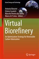 Antonio Bonomi, Otavi Cavalett, Otavio Cavalett, Marco A. P. Lima, Marcelo Pereira da Cunha, Marcelo Pereira da Cunha et al - Virtual Biorefinery