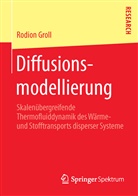 Rodion Groll - Diffusionsmodellierung
