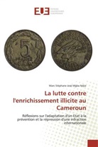 Marc Stéphane José Mgba Ndjie, Mgba ndjie-m - La lutte contre l enrichissement