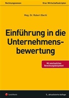 Robert Bachl - Einführung in die Unternehmensbewertung