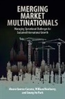 Alvaro Cuervo-Cazurra, Alvaro Newburry Cuervo-Cazurra, Cuervo-Cazurra Alvaro, Alvaro Cuervo-Cazzura, William Newburry, Newburry William... - Emerging Market Multinationals
