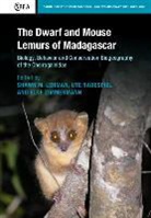 Shawn Lehman, Shawn M. Lehman, Shawn M. (University of Toronto) Radespiel Lehman, Shawn Lehman, Shawn M Lehman, Shawn M. Lehman... - Dwarf and Mouse Lemurs of Madagascar