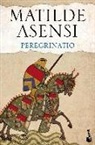 Matilde Asensi - Peregrinatio
