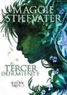 Maggie Stiefvater - The Raven Boys. El tercer durmiente
