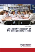 Mirjana ¿Agud, Mirjana Sagud - Collaborative research of the pedagogical practice