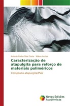 Wilson Acchar, Acchar Wilson, Antonio Carlos Silva Costa, Silva Costa Antonio Carlos - Caracterização de atapulgita para reforço de materiais poliméricos