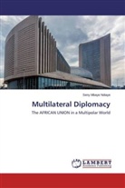 Seny Mbaye Ndiaye - Multilateral Diplomacy