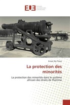 Ernest Aly Thiaw, Thiaw-E - La protection des minorites