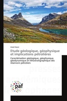 Imed Hezzi, Hezzi-i - Etude geologique, geophysique et
