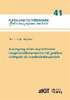 Markus Springmann - Auslegung eines asynchronen Langstatorlinearmotors mit großem Luftspalt als Straßenbahnantrieb