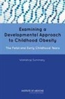 Food And Nutrition Board, Institute Of Medicine, Leslie A. Pray, Leslie A. Pray - Examining a Developmental Approach to Childhood Obesity