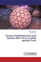 Larissa Afonso, Silvi Cavalcanti, Silvia Cavalcanti - Human Papillomavirus and Epstein-Barr Virus in Male genital Tract
