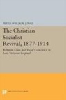 &amp;apos, Alroy, Peter Jones, Peter D&amp;apos Jones, Peter D. Jones, Peter D'Alroy Jones... - Christian Socialist Revival, 1877-1914