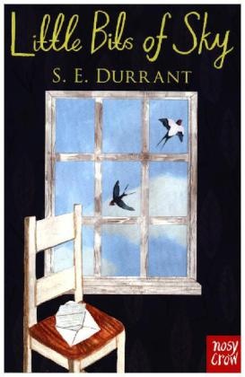 S E Durrant, S. E. Durrant, Sue Durrant, Durrant S. E., Katie Harnett, … - Little Bits of Sky