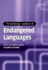 Peter K. Austin, Peter K. (Marit Rausing Chair in Field Lin Austin, Peter K. Sallabank Austin, Peter K. Austin, Peter K. (Marit Rausing Chair in Field Linguistics Austin, Julia Sallabank... - Cambridge Handbook of Endangered Languages