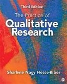 Sharlene Hesse Biber, Sharlene Hesse Hesse Biber, Sharlene J. Hesse-Biber, Sharlene Nagy Hesse-Biber - Practice of Qualitative Research