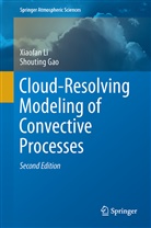 Shouting Gao, Xiaofa Li, Xiaofan Li - Cloud-Resolving Modeling of Convective Processes