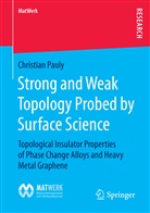 Christian Pauly - Strong and Weak Topology Probed by Surface Science