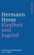 Hermann Hesse, Nino Hesse, Ninon Hesse - Kindheit und Jugend vor Neunzehnhundert