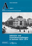 Enrico Hochmuth - Industrie- und Gewerbeausstellungen in Sachsen 1824-1914